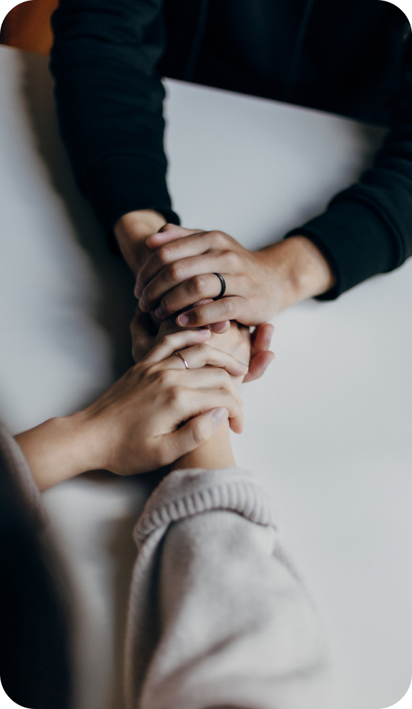 Предоставляемые услуги